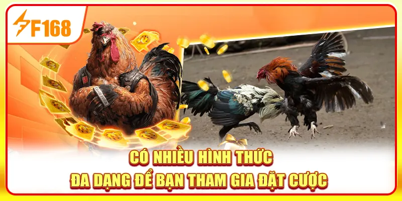 Có nhiều hình thức đa dạng để bạn tham gia đặt cược 