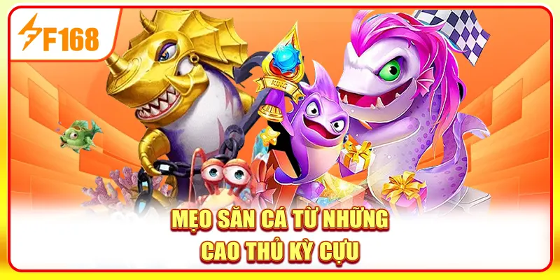 Mẹo săn cá từ những cao thủ kỳ cựu