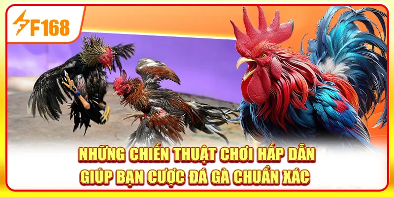 Những chiến thuật chơi hấp dẫn giúp bạn cược Đá gà chuẩn xác 