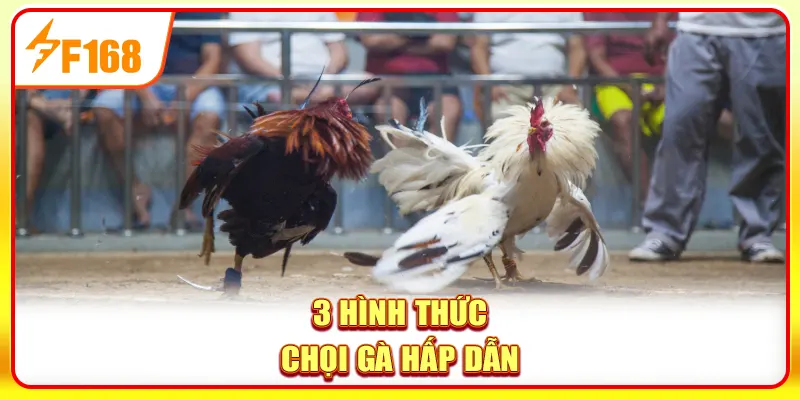3 hình thức chọi gà hấp dẫn
