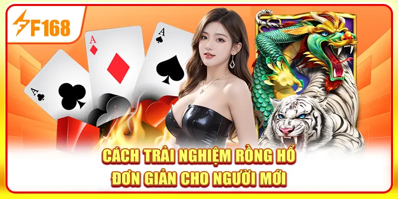 Cách trải nghiệm Rồng Hổ đơn giản cho người mới