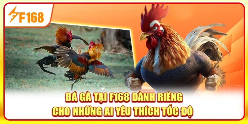 Đá gà tại F168 dành riêng cho những ai yêu thích tốc độ 