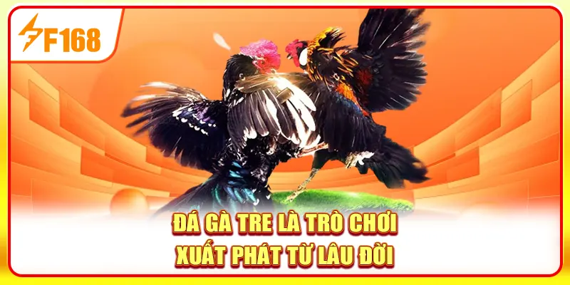 Đá Gà Tre - 4 Bí Ẩn Sau Những Trận Chiến Nhỏ Nhưng Bén 2 Đá gà tre là trò chơi xuất phát từ lâu đời