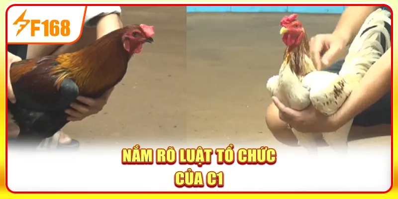Nắm rõ luật tổ chức của C1