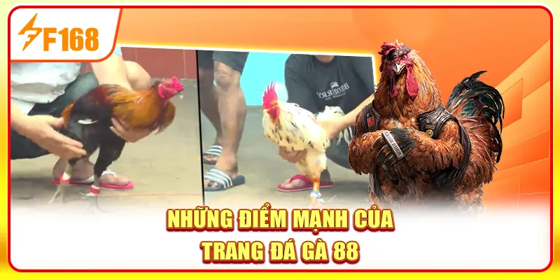 Những điểm mạnh của trang đá gà 88
