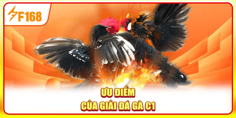 Ưu điểm của giải đá gà C1